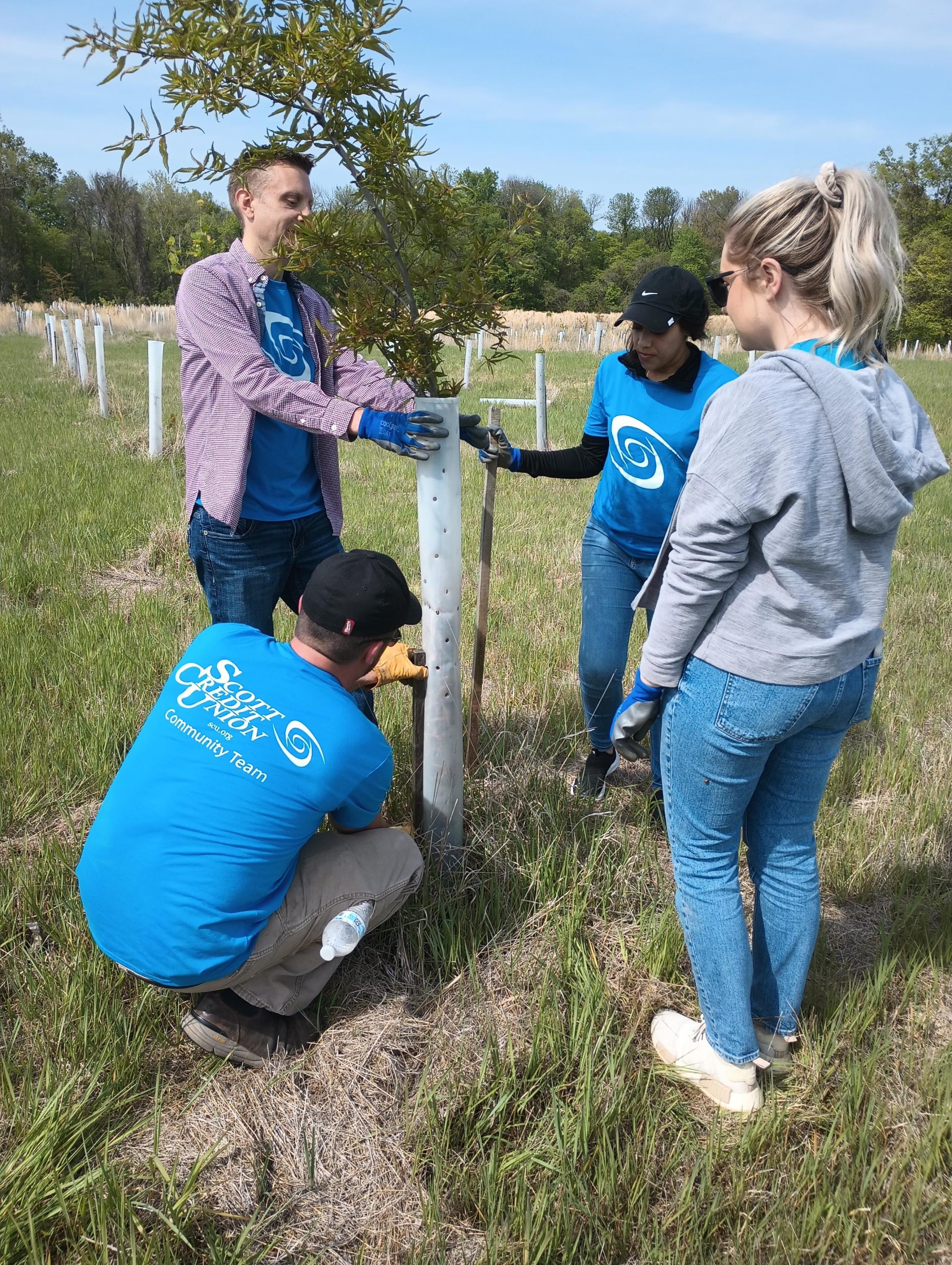 Edwardsville Tree planting 23 Edwardsville Tree planting 23