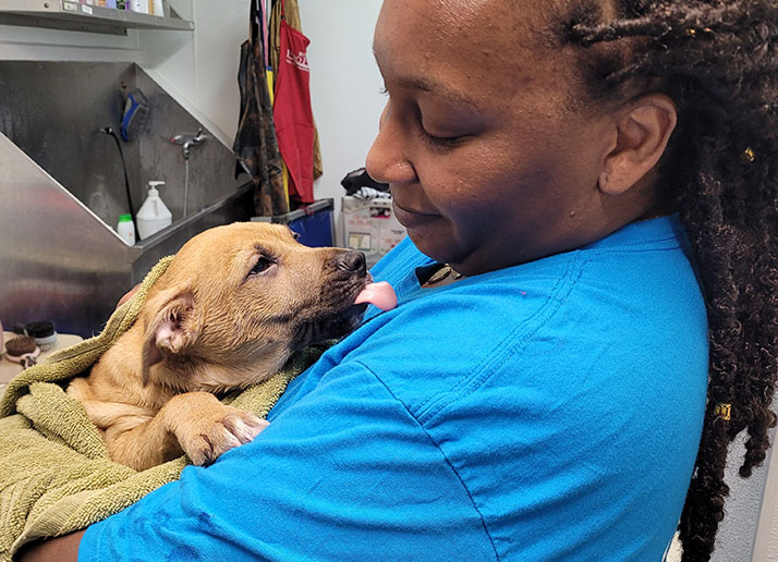 Our Why Section Photo 2 Our Why Section Photo 2